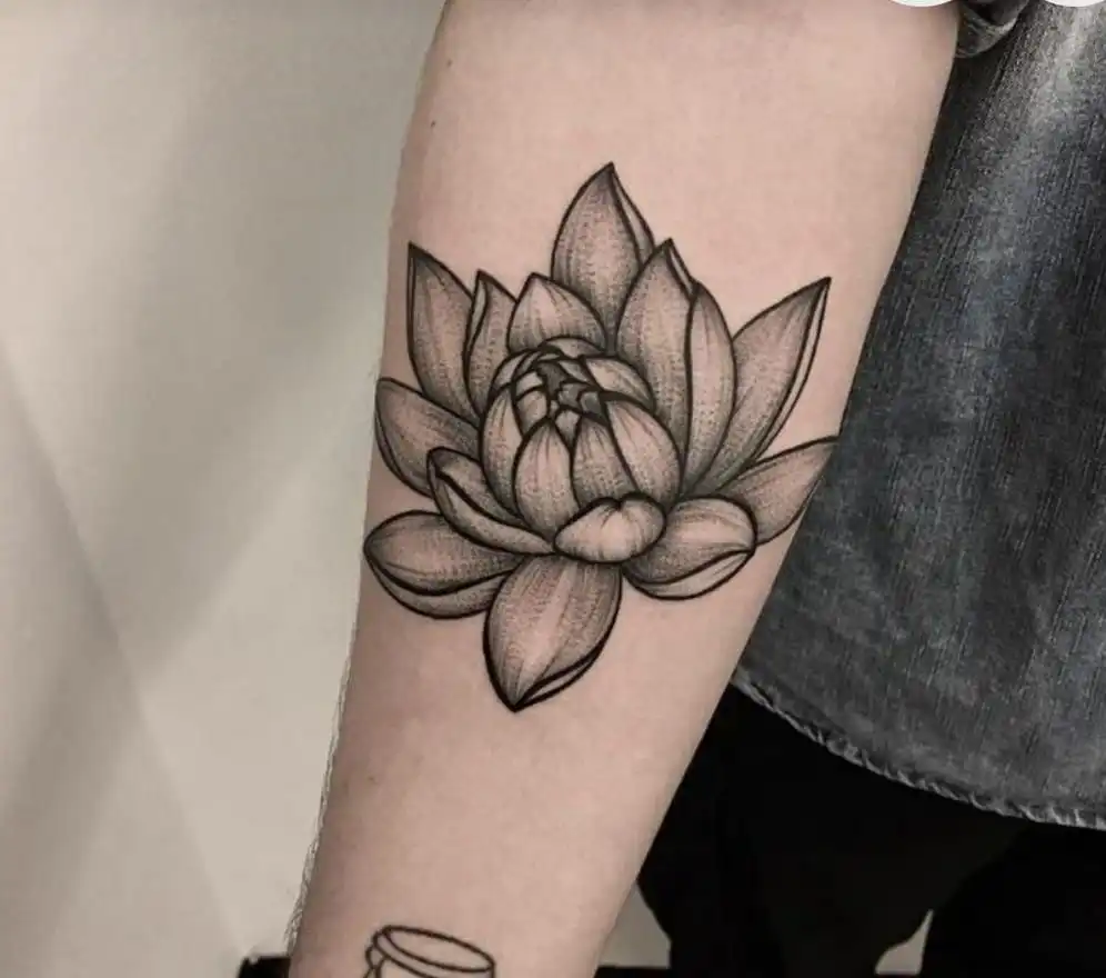Japanese Lotus Flower Tattoo Meaning
